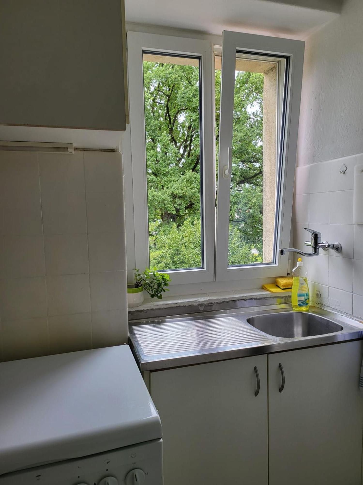 Bastis Central Guesthouse Lucerne City Eksteriør billede